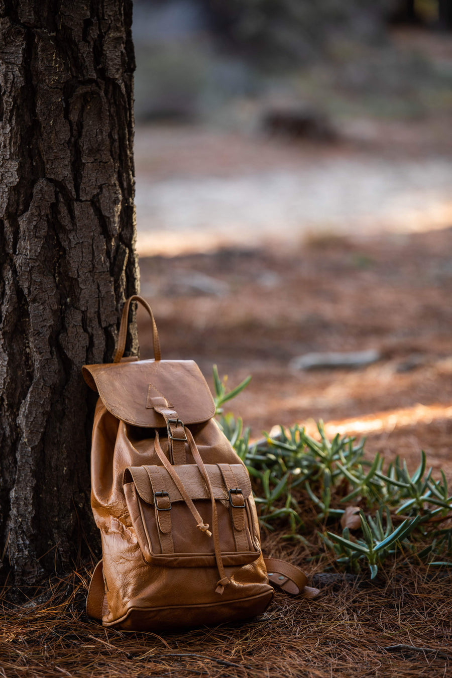 Rucksack